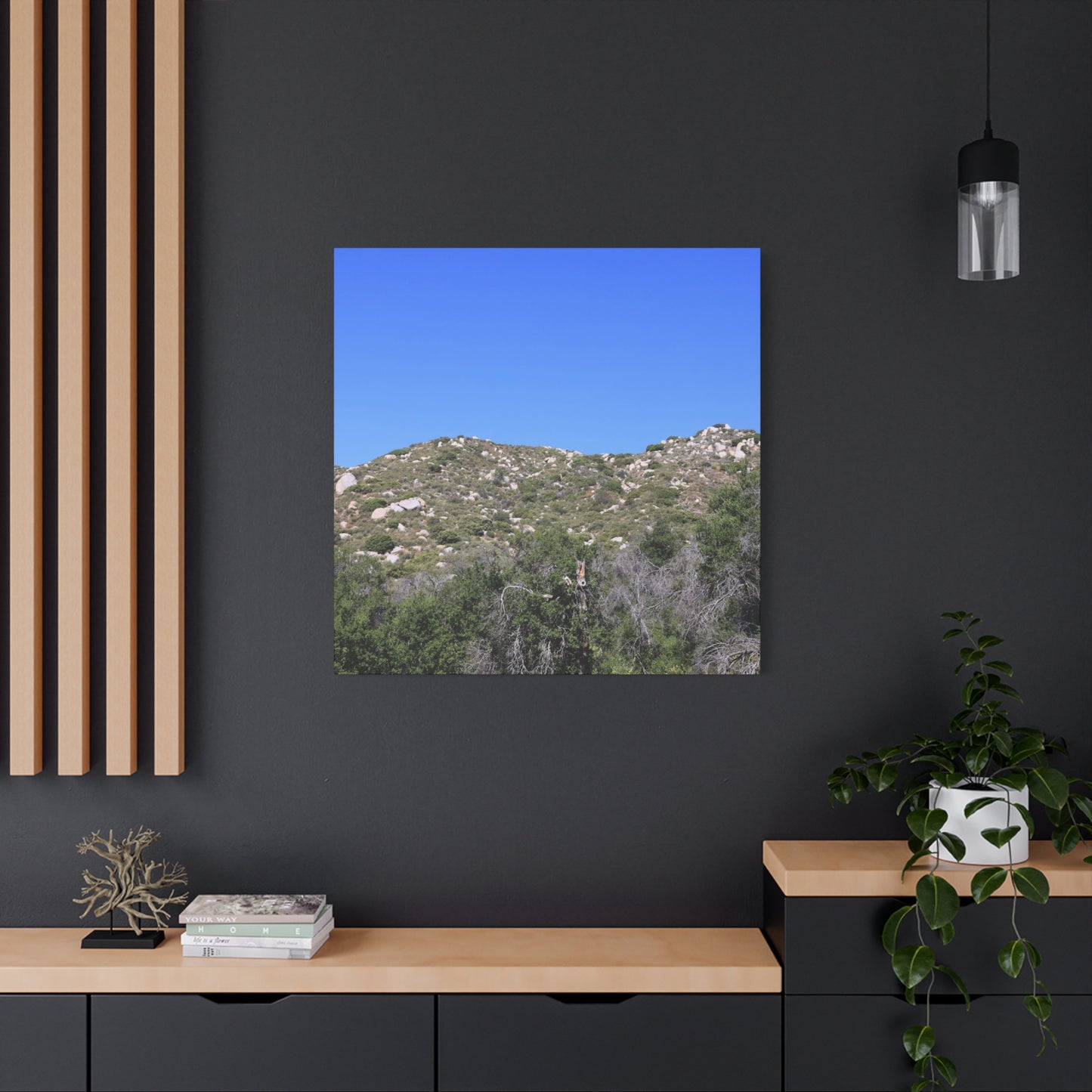 Rocky Hills with Desert Vegetation - Unique Frameless Canvas Wall Art