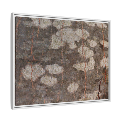 Lichen's Legacy - Unique Stretched Canvas Wall Art - Art By Earth