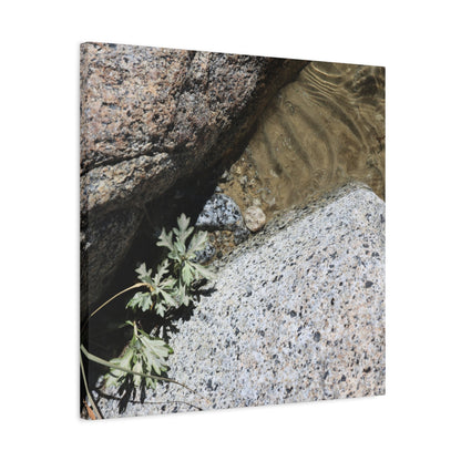Between Stone and Sand - Unique Frameless Canvas Wall Art - Art By Earth