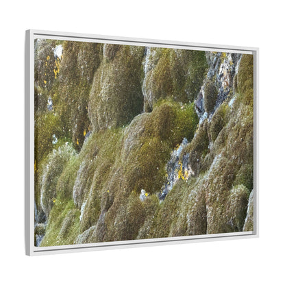Moss Symphony - Unique Stretched Canvas Wall Art