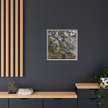 Mossy Whispers - Unique Stretched Canvas Wall Art - Art By Earth