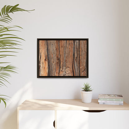 Echoes of Timber - Unique Stretched Canvas Wall Art - Art By Earth