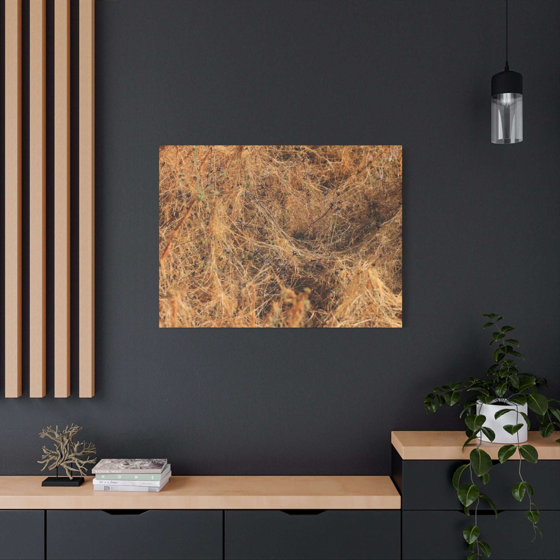 Dried Grasses - Unique Frameless Canvas Wall Art - Art By Earth