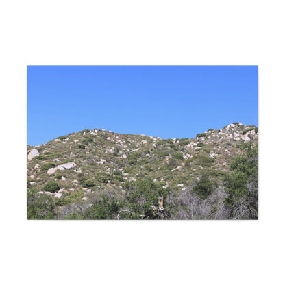 Rocky Hills with Desert Vegetation - Unique Frameless Canvas Wall Art