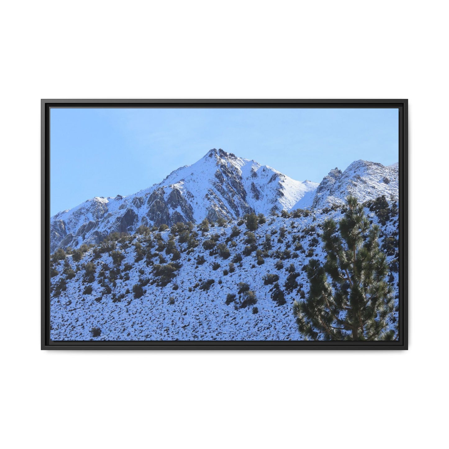 Snow's Embrace - Unique Stretched Canvas Wall Art