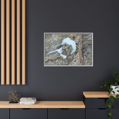 Lichen's Embrace - Unique Stretched Canvas Wall Art