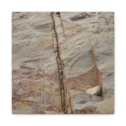 Cracked Canvas of Time - Unique Frameless Canvas Wall Art - Art By Earth