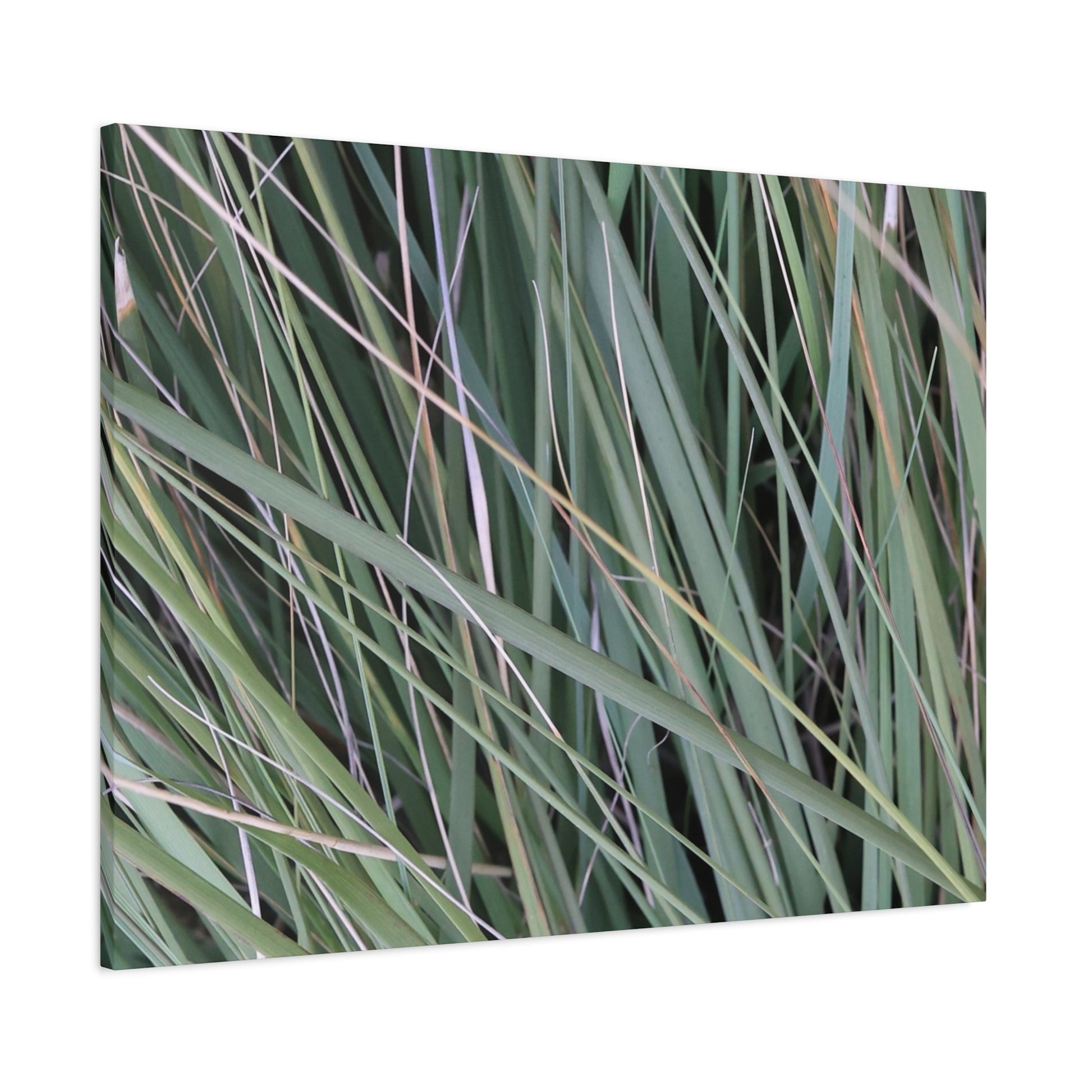 Whispers of Green - Unique Frameless Canvas Wall Art - Art By Earth