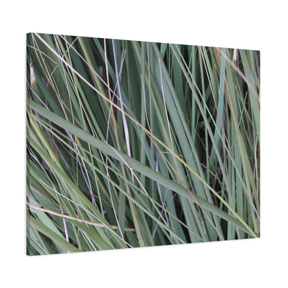 Whispers of Green - Unique Frameless Canvas Wall Art - Art By Earth