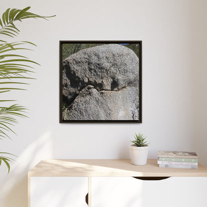 Stone Skull in Desert - Unique Stretched Canvas Wall Art