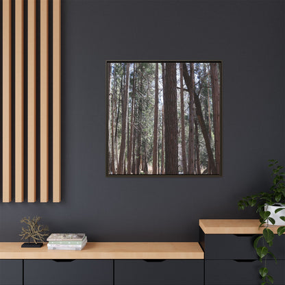 Forest Cathedral - Unique Stretched Canvas Wall Art - Art By Earth