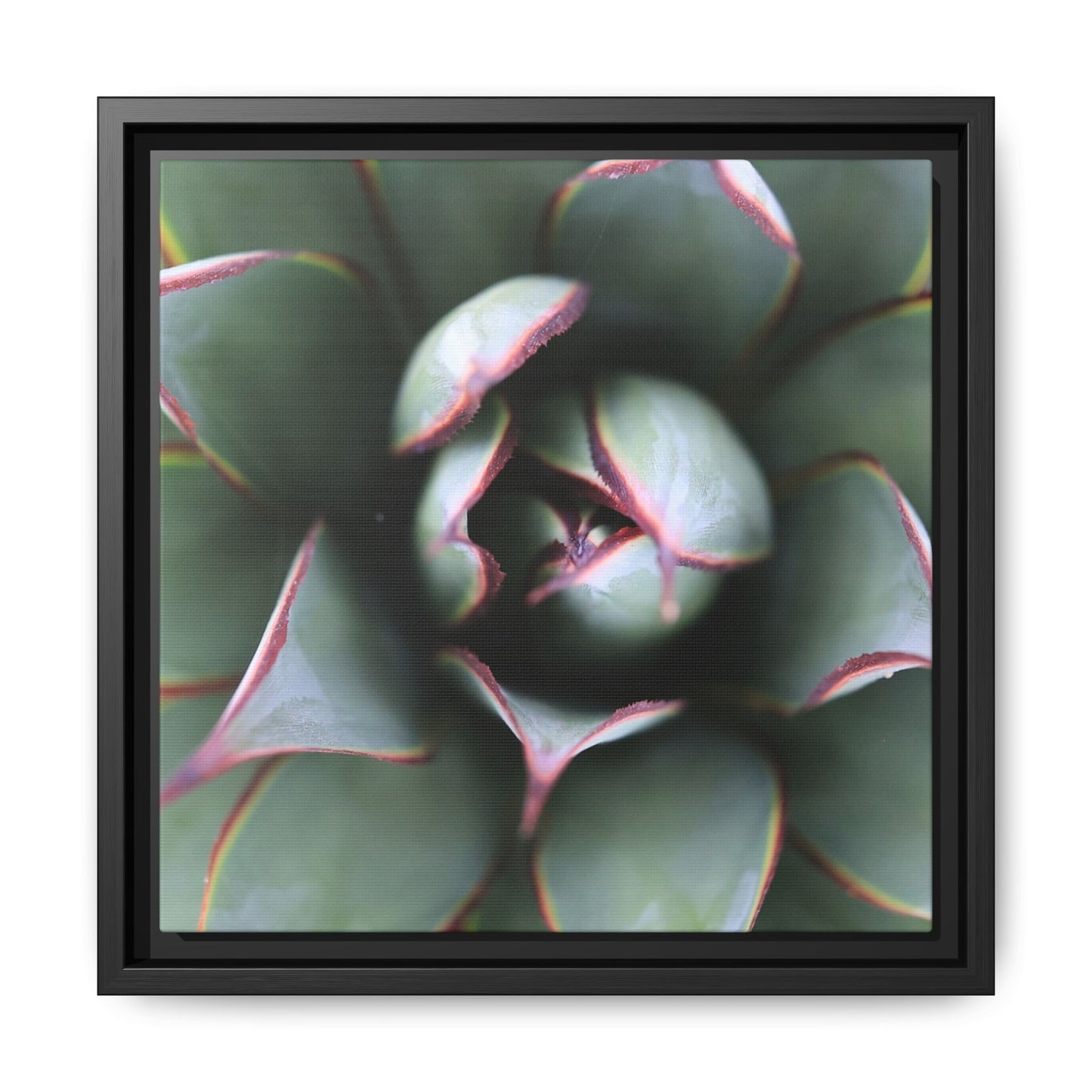 Spiky Elegance - Unique Stretched Canvas Wall Art - Art By Earth