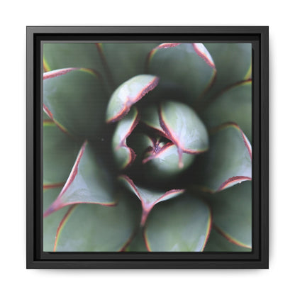 Spiky Elegance - Unique Stretched Canvas Wall Art - Art By Earth