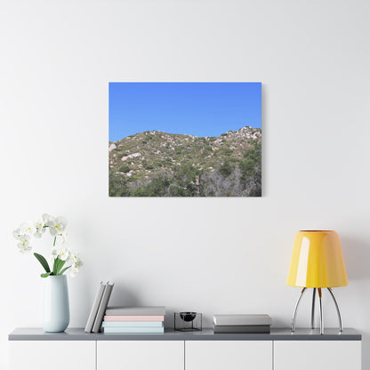 Rocky Hills with Desert Vegetation - Unique Frameless Canvas Wall Art