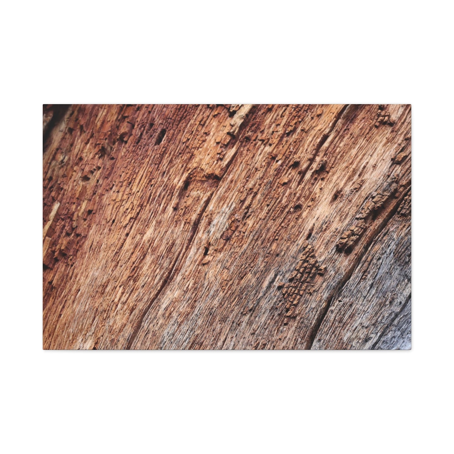 Natural Wood Grain - Unique Frameless Canvas Wall Art - Art By Earth