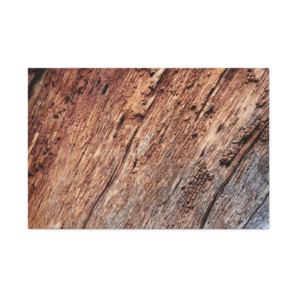 Natural Wood Grain - Unique Frameless Canvas Wall Art - Art By Earth