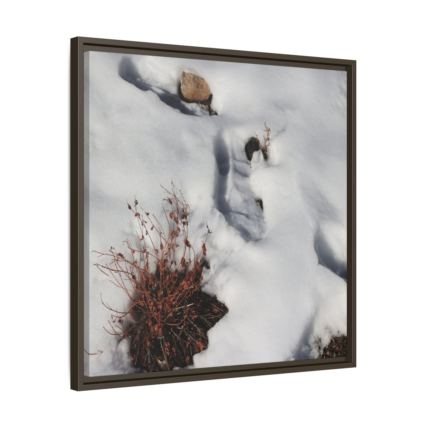 Frostbound Whispers - Unique Stretched Canvas Wall Art