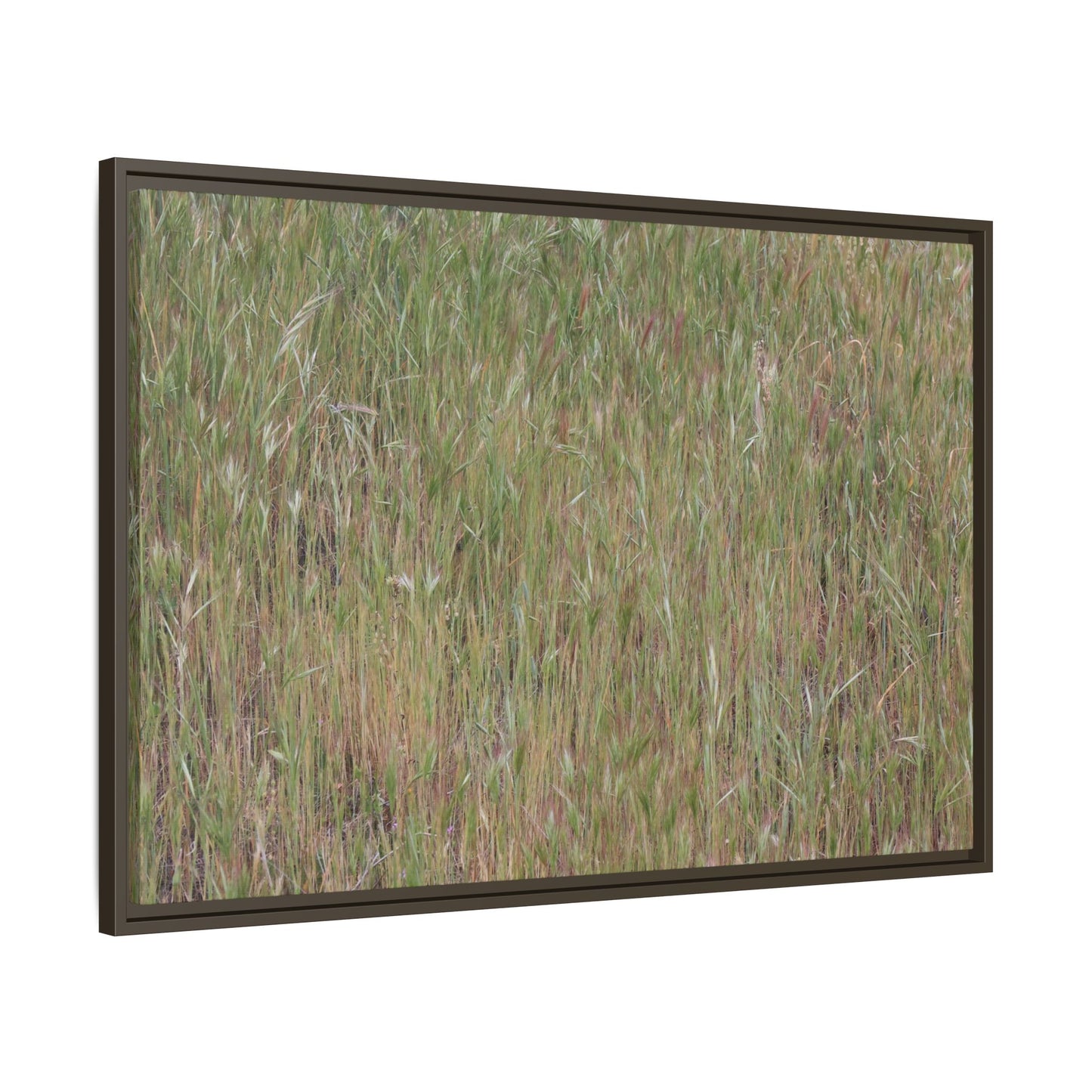 Field of Dreams - Unique Stretched Canvas Wall Art - Art By Earth