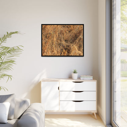 Dried Vegetation Study - Unique Stretched Canvas Wall Art - Art By Earth