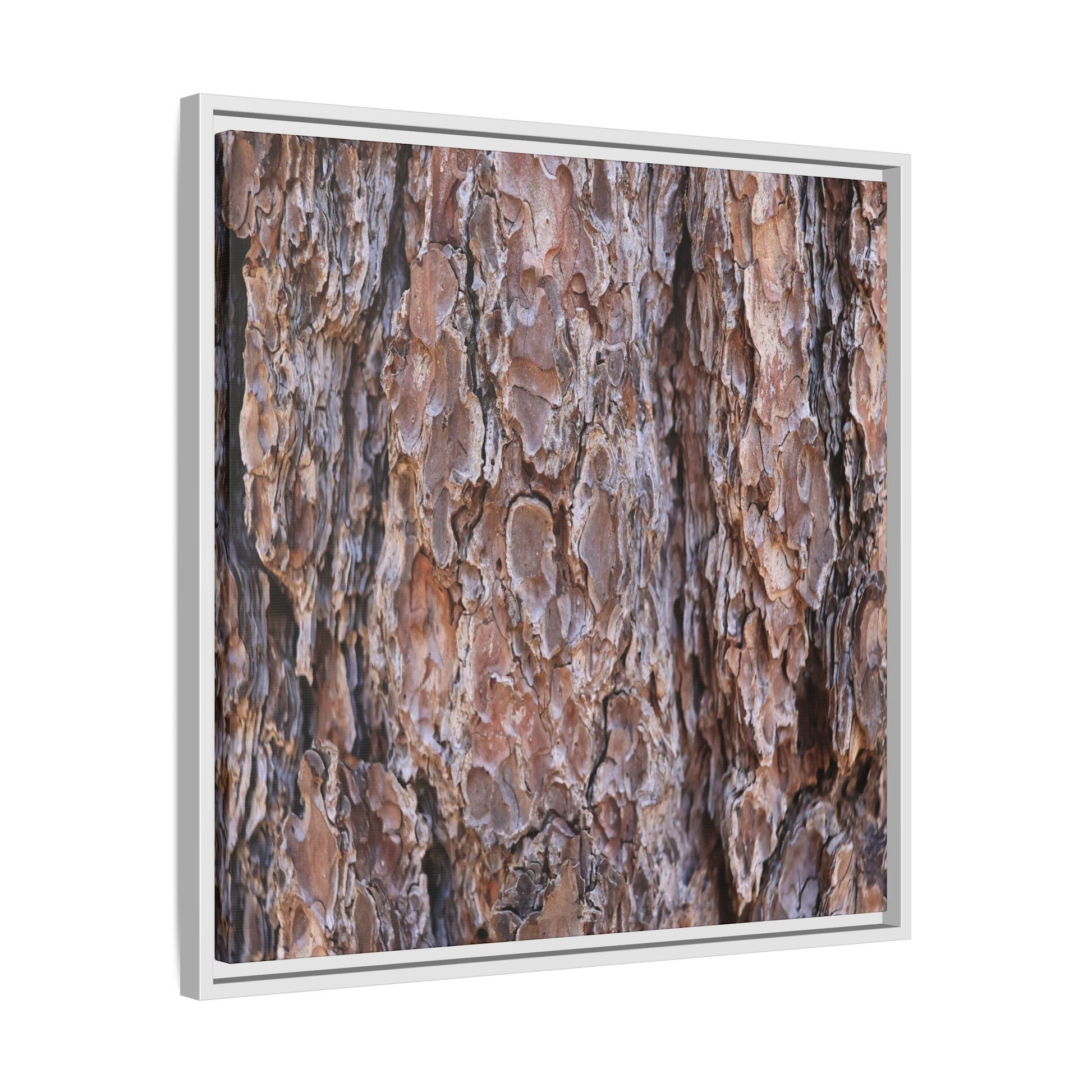 Woody Layers - Unique Stretched Canvas Wall Art - Art By Earth