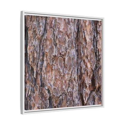 Woody Layers - Unique Stretched Canvas Wall Art - Art By Earth