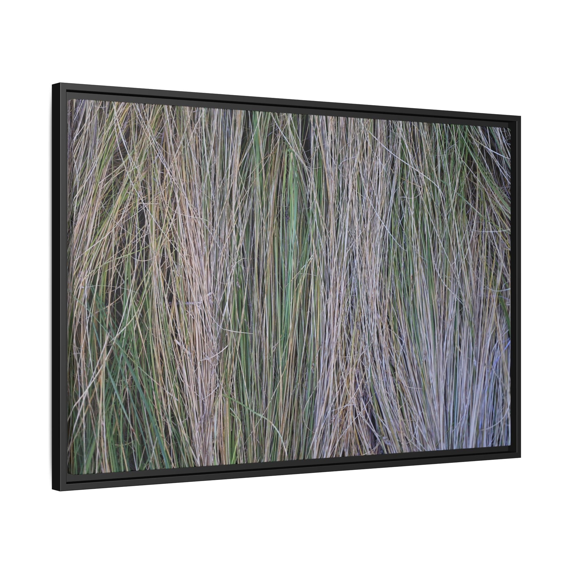 Whispers of Silver Grass - Unique Stretched Canvas Wall Art - Art By Earth