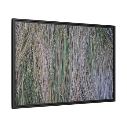 Whispers of Silver Grass - Unique Stretched Canvas Wall Art - Art By Earth
