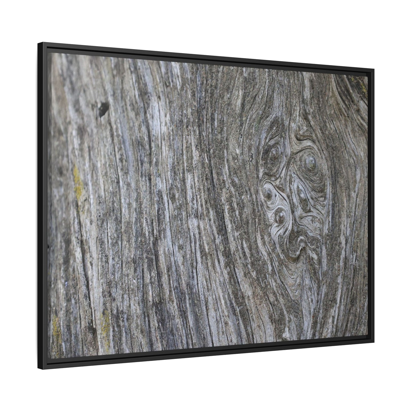 Eternal Knots - Unique Stretched Canvas Wall Art - Art By Earth