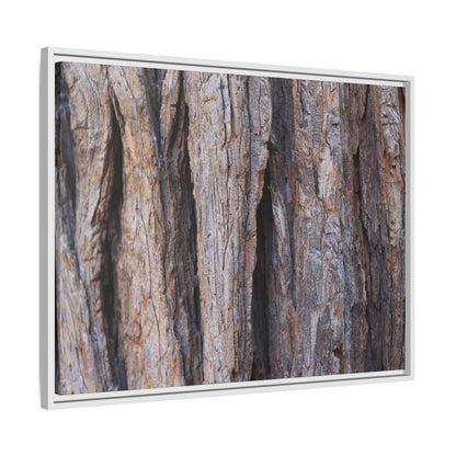 Ancient Grains - Unique Stretched Canvas Wall Art - Art By Earth