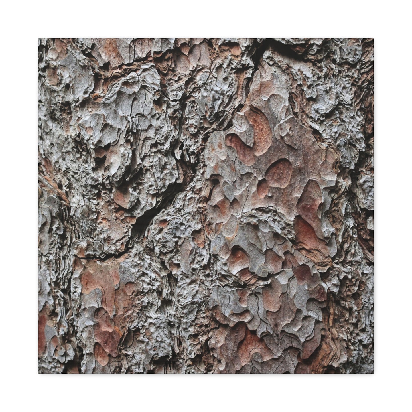 Textured Whispers of Bark - Unique Frameless Canvas Wall Art - Art By Earth