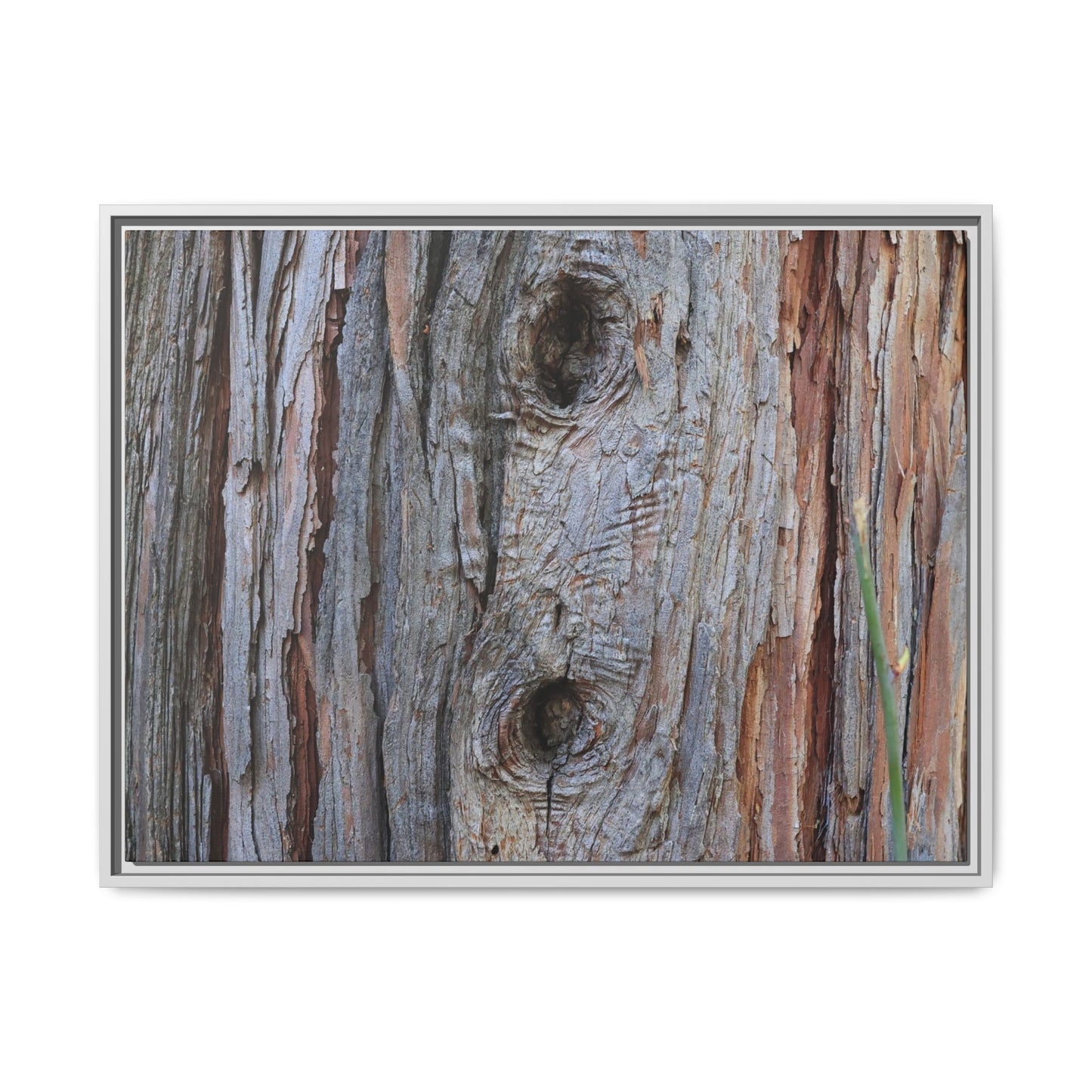 Knotty Nature - Unique Stretched Canvas Wall Art - Art By Earth