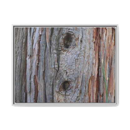 Knotty Nature - Unique Stretched Canvas Wall Art - Art By Earth