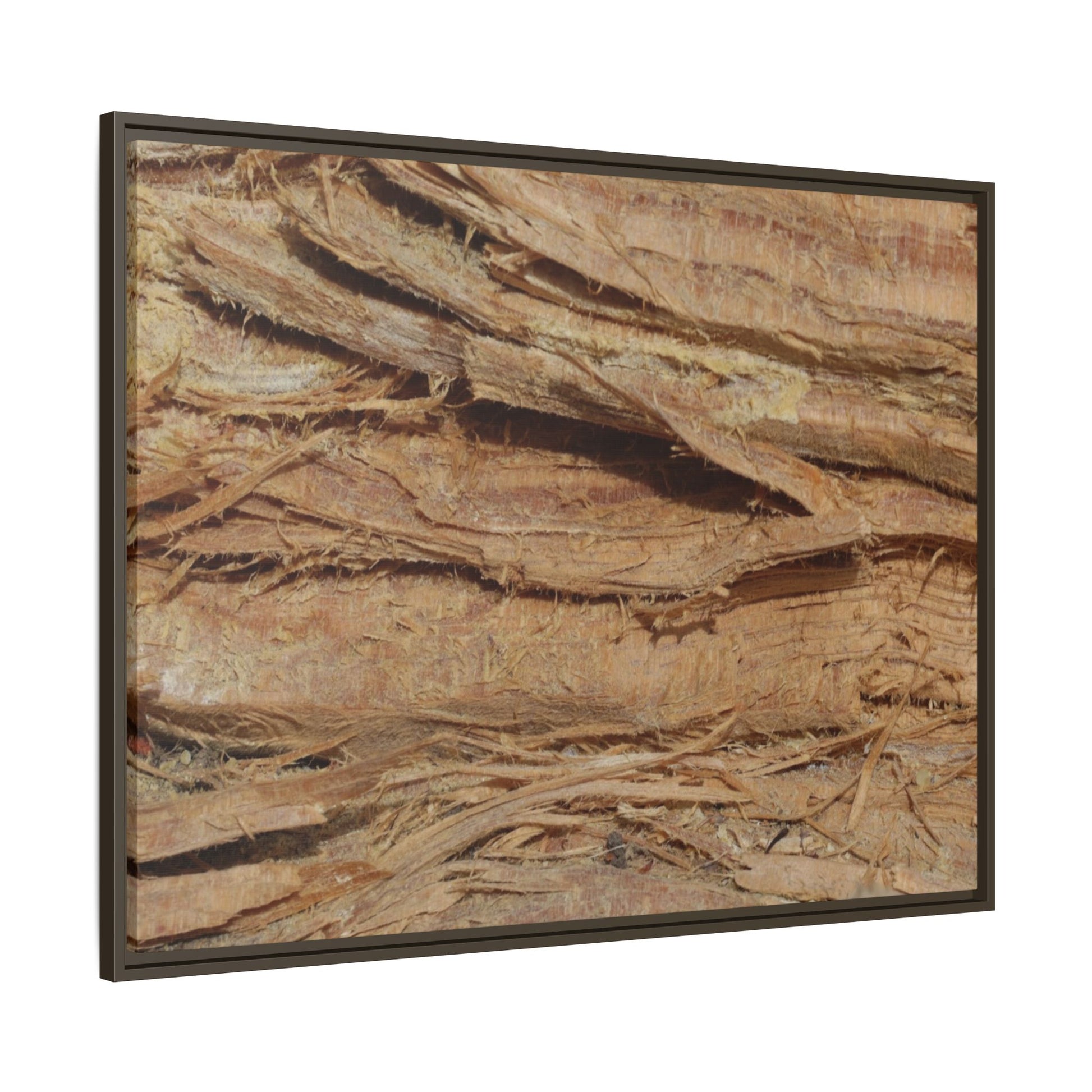 Splintered Bark - Unique Stretched Canvas Wall Art - Art By Earth