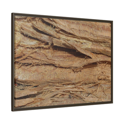 Splintered Bark - Unique Stretched Canvas Wall Art - Art By Earth