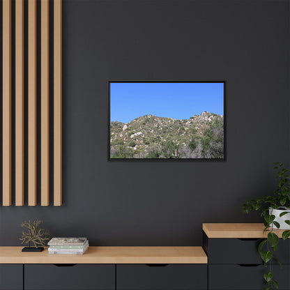 Sparse Vegetation - Unique Stretched Canvas Wall Art