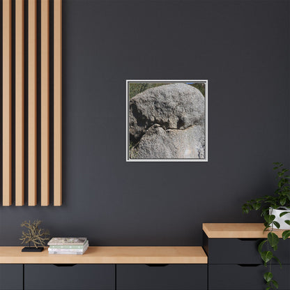Stone Skull in Desert - Unique Stretched Canvas Wall Art