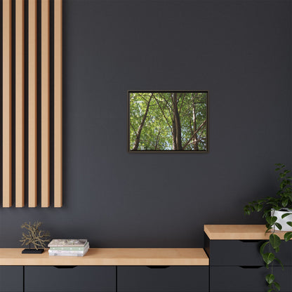 Forest Branches - Unique Stretched Canvas Wall Art