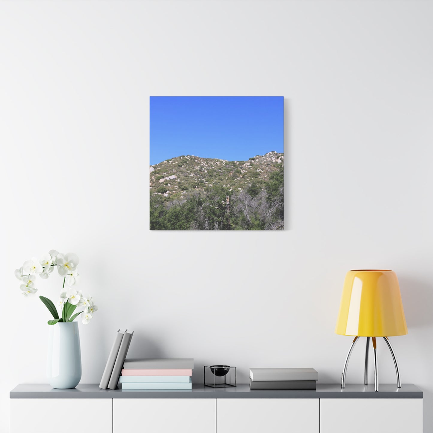 Rocky Hills with Desert Vegetation - Unique Frameless Canvas Wall Art