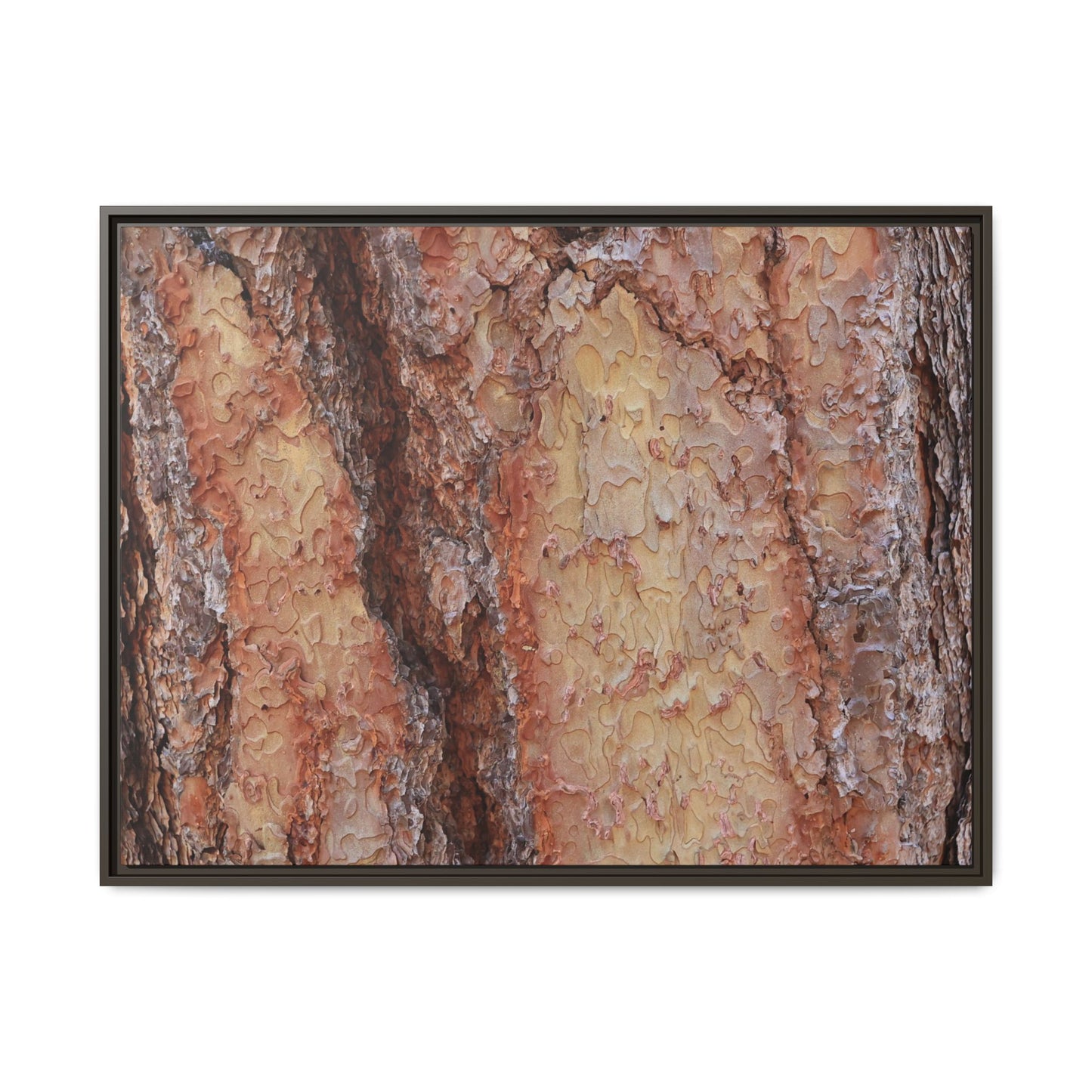 Rustic Rhythms - Unique Stretched Canvas Wall Art - Art By Earth