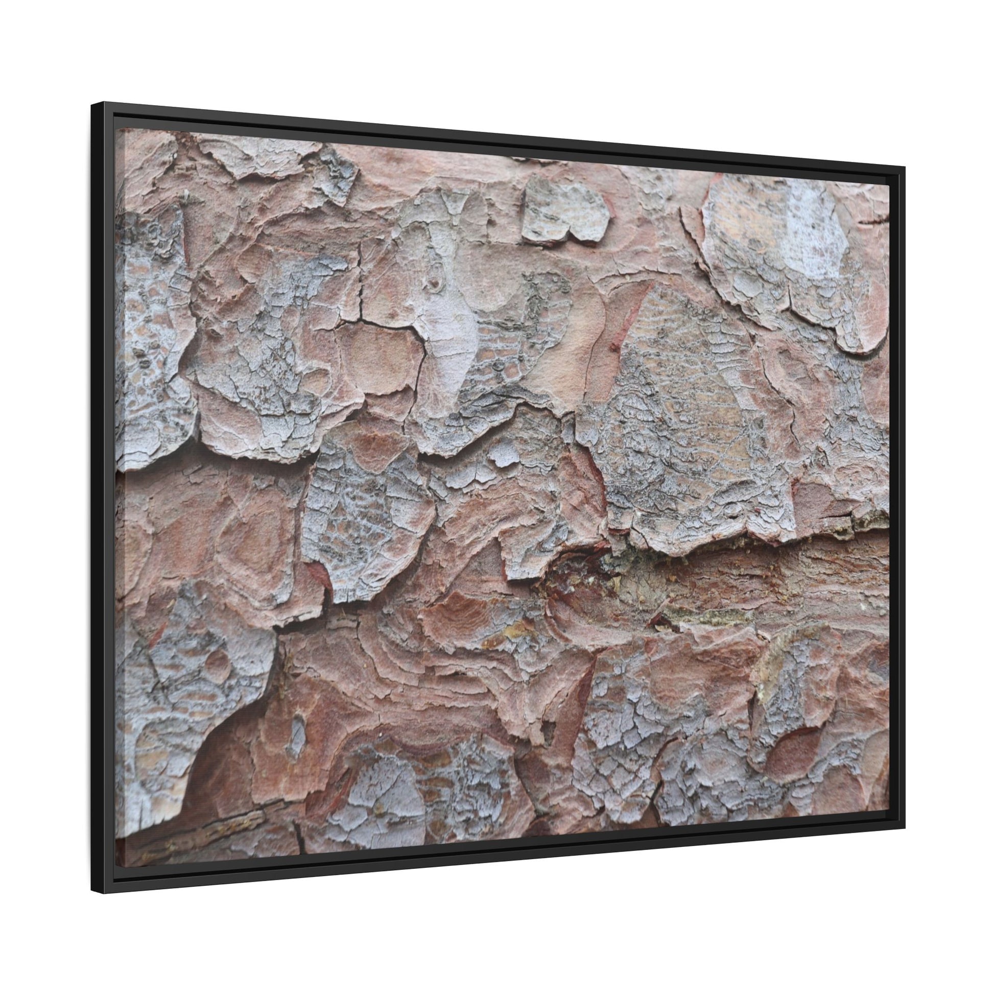 Flaking Serenity - Unique Stretched Canvas Wall Art - Art By Earth