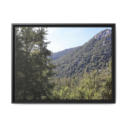 Mountain Valley Forest - Unique Stretched Canvas Wall Art