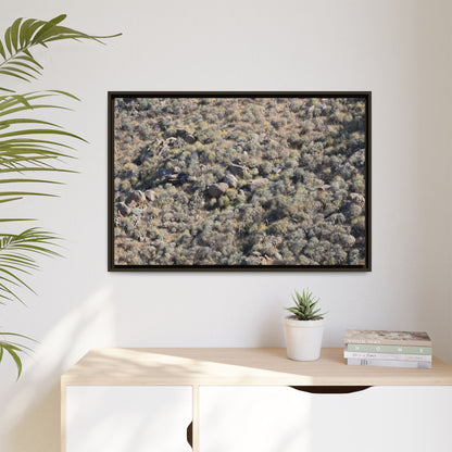 Arid Terrain Study - Unique Stretched Canvas Wall Art - Art By Earth