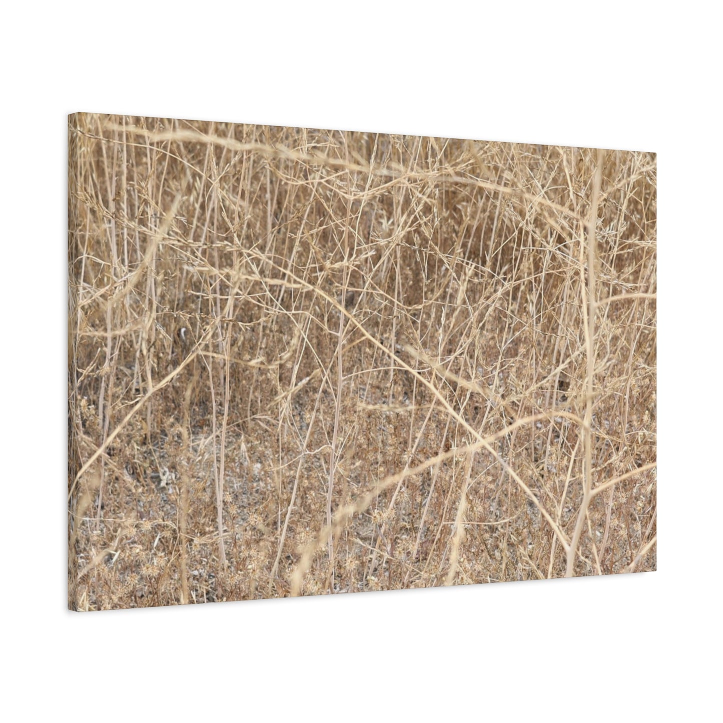 Dry Echoes - Unique Frameless Canvas Wall Art - Art By Earth