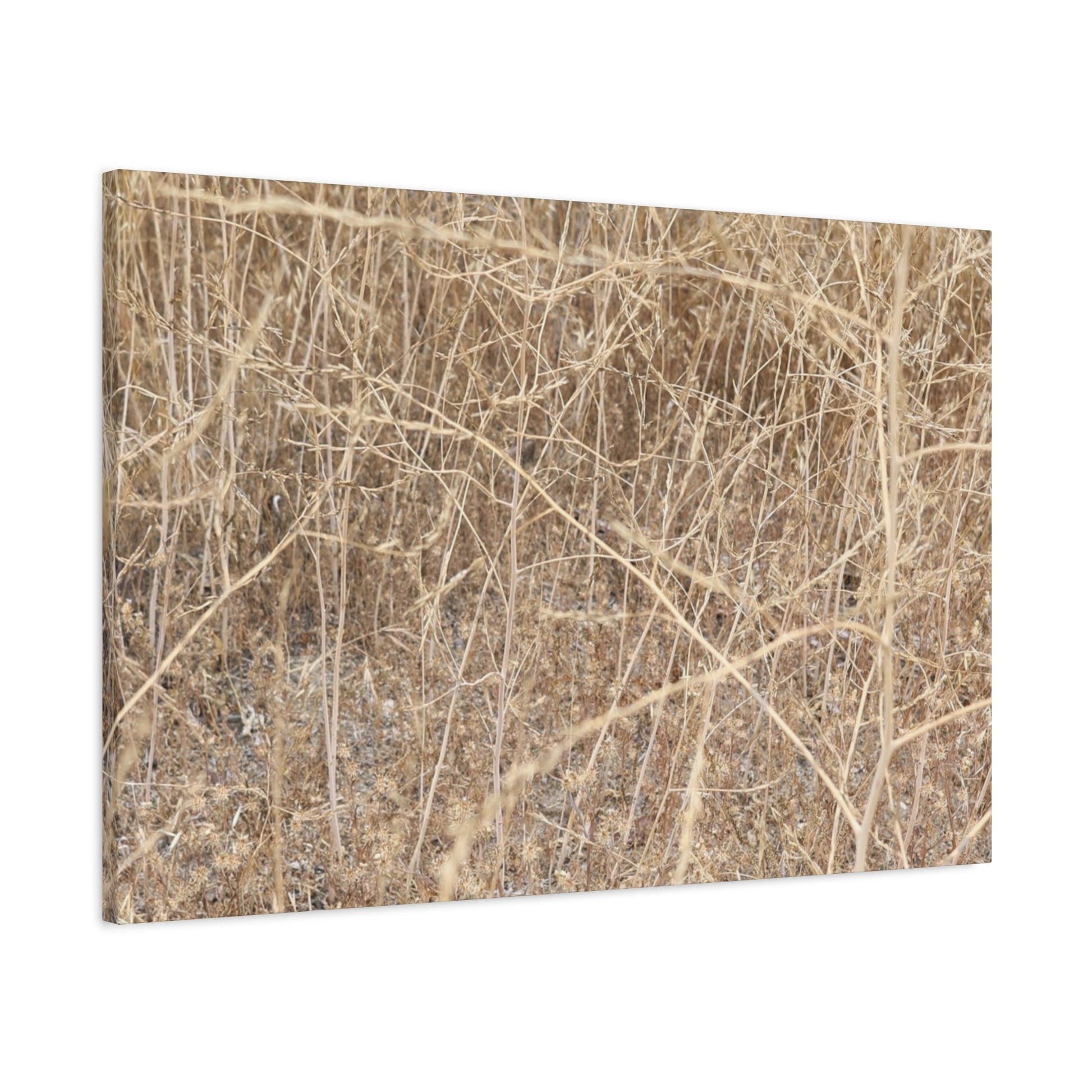 Dry Echoes - Unique Frameless Canvas Wall Art - Art By Earth