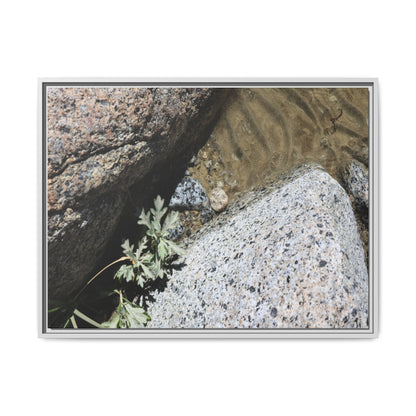 Resilience in Stone - Unique Stretched Canvas Wall Art - Art By Earth