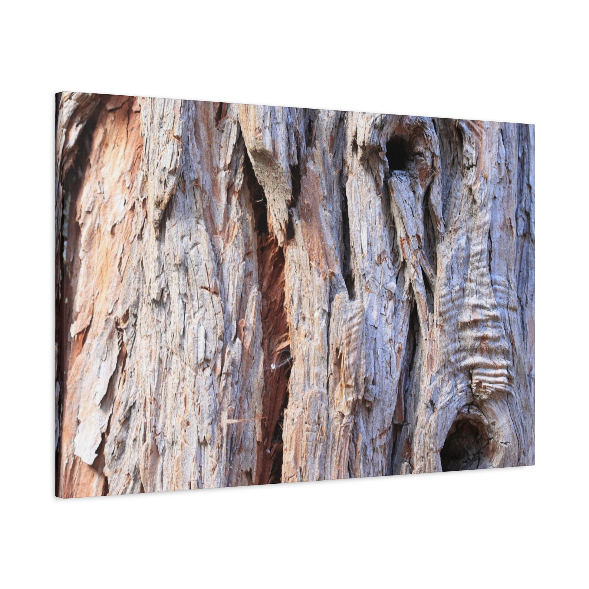Aged Bark Surface - Unique Frameless Canvas Wall Art - Art By Earth