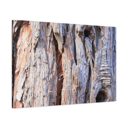 Aged Bark Surface - Unique Frameless Canvas Wall Art - Art By Earth