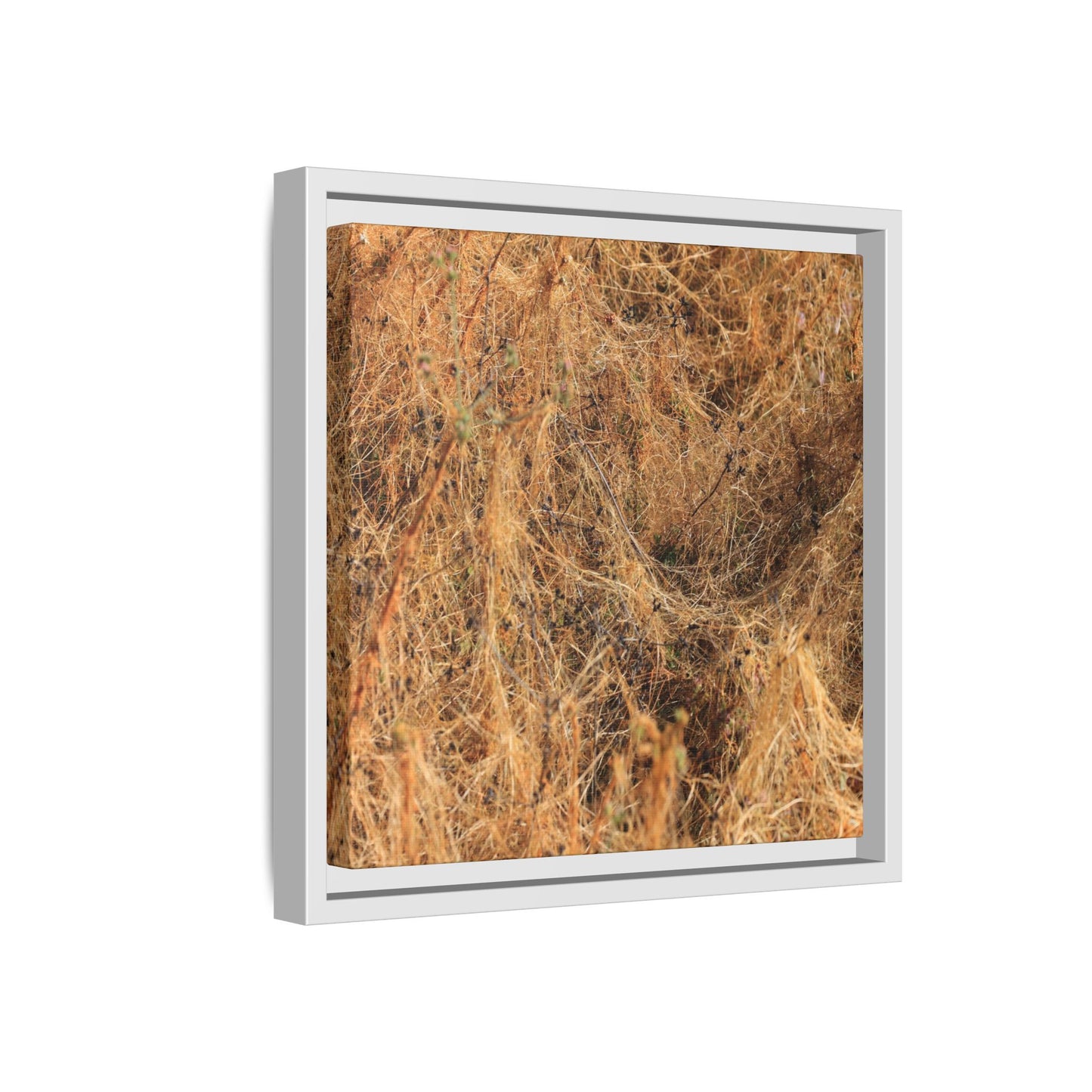 Dried Vegetation Study - Unique Stretched Canvas Wall Art - Art By Earth