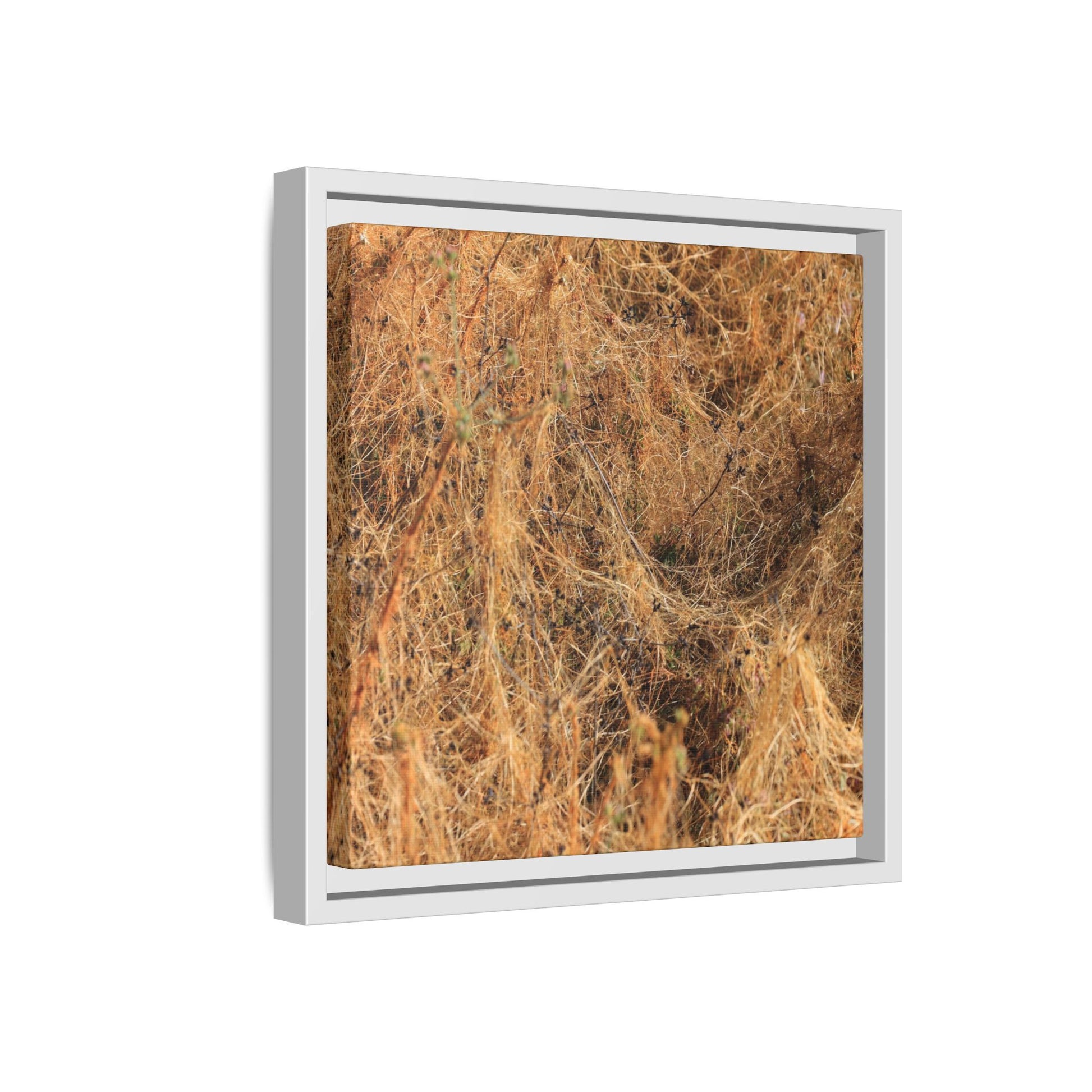 Dried Vegetation Study - Unique Stretched Canvas Wall Art - Art By Earth