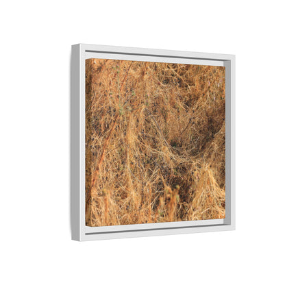 Dried Vegetation Study - Unique Stretched Canvas Wall Art - Art By Earth